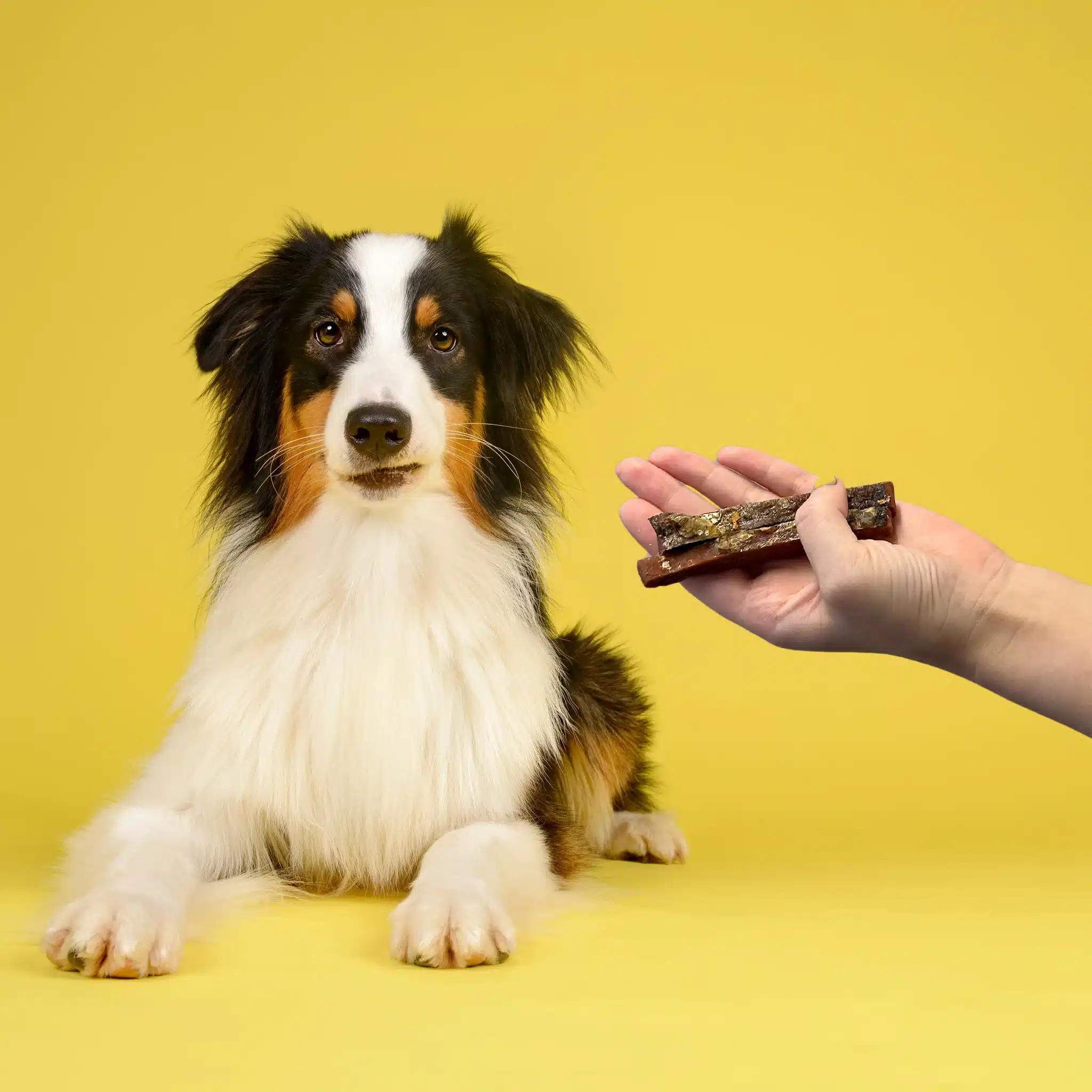 4_51311ce8-b139-4166-8f6e-4d11a27265b5_1024x1024@2x