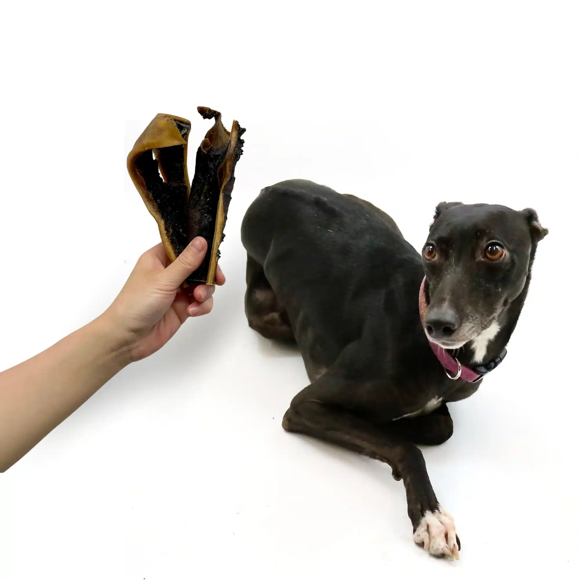 BEEFSKINCHEWS-CUT_3_1024x1024@2x