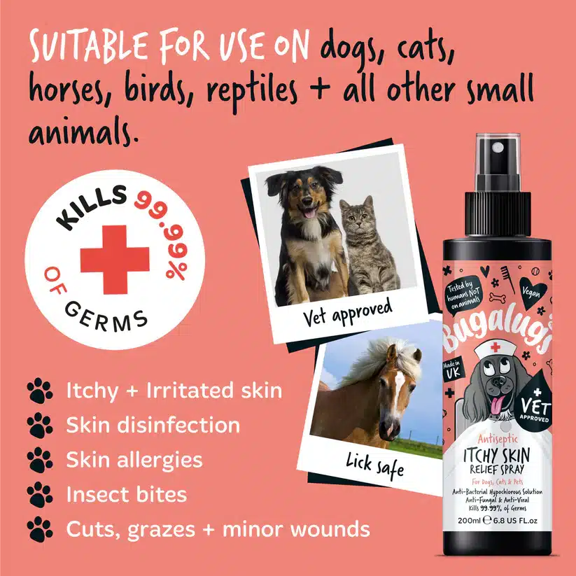 Bugalugs-Antiseptic-Itchy-Skin-Spray-Suitable-for-use-on-all-pets