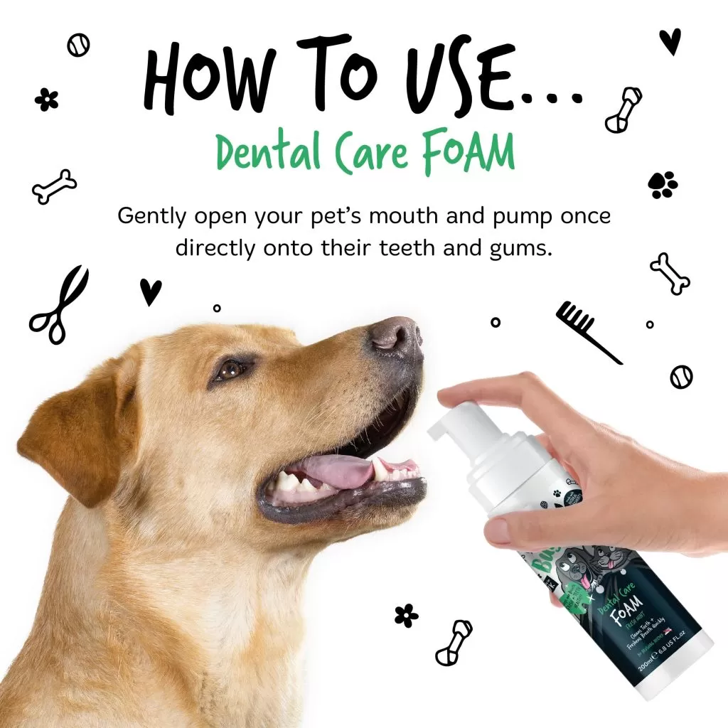 Bugalugs-Dental-Foam-200ml-Dog-Cat-Secondary-images_How-to-use-min-1024x1024