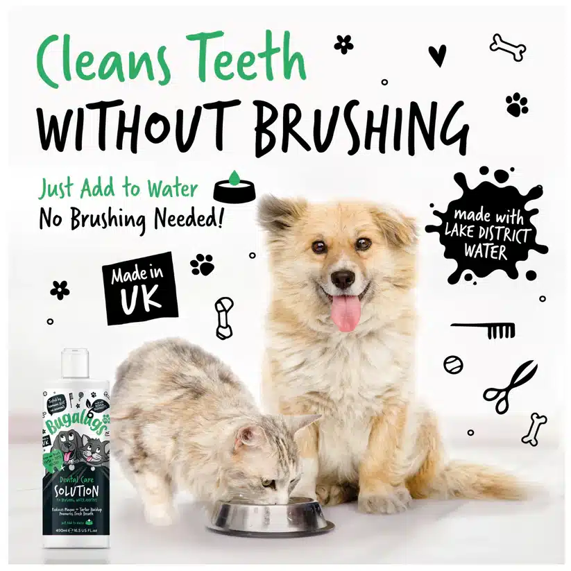 Cleans-Teeth-Without-Brushing-Dental-Solution