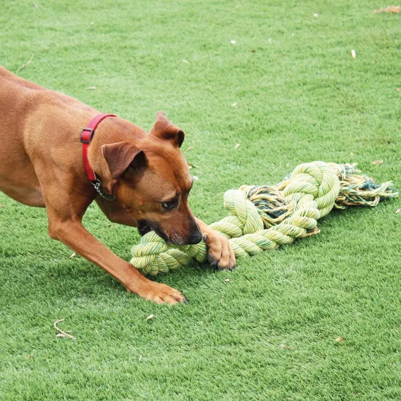 Nuts-for-Knots-Schleppseil-Kingsize-mit-Hund