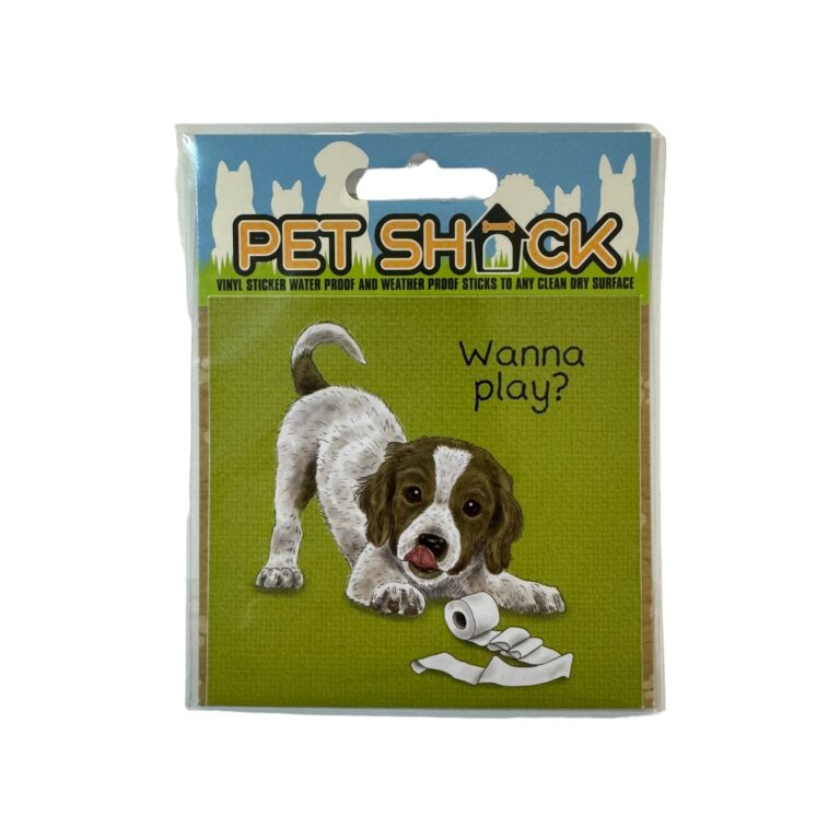 Photoroom_002_20240808_120312