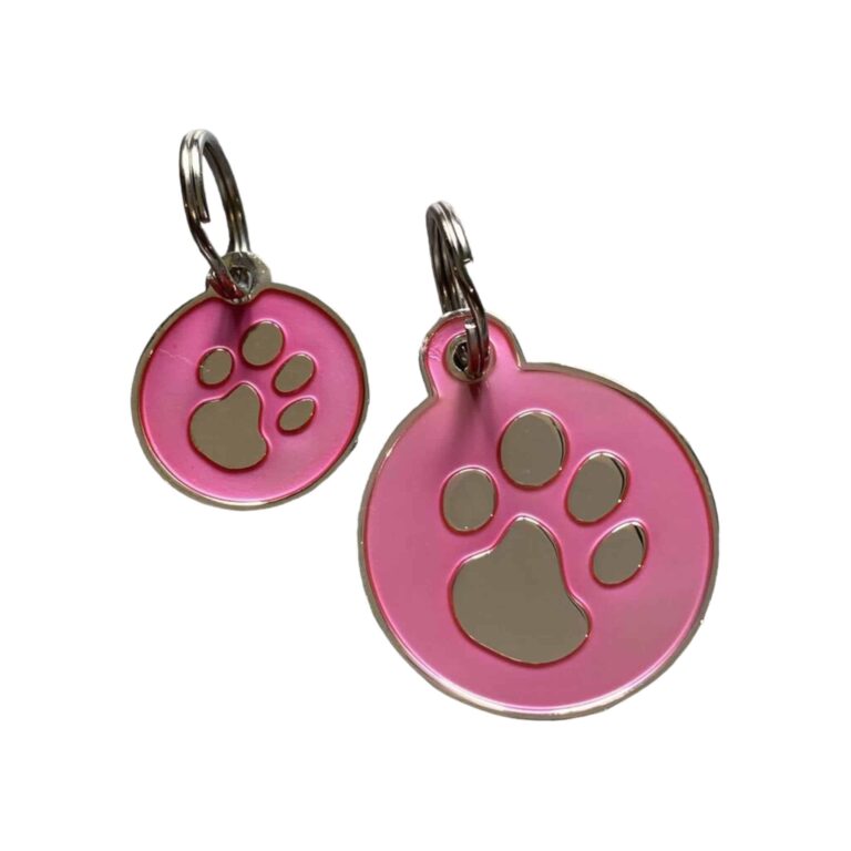 Photoroom_002_20240822_143736