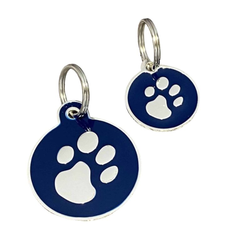 Photoroom_004_20240822_143736