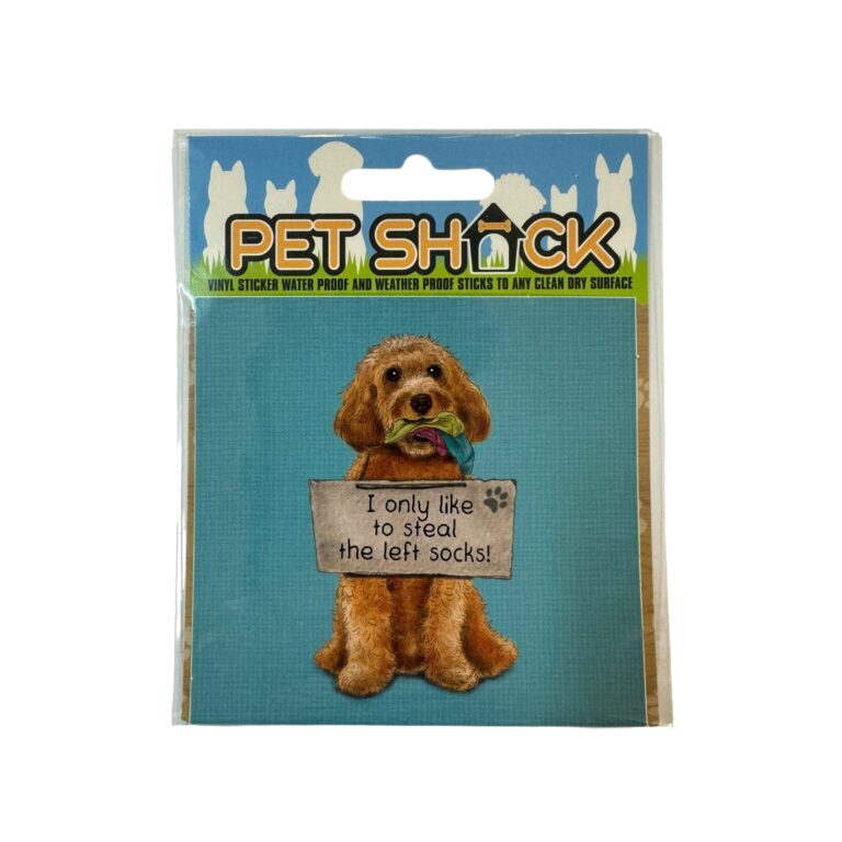 Photoroom_005_20240808_120312