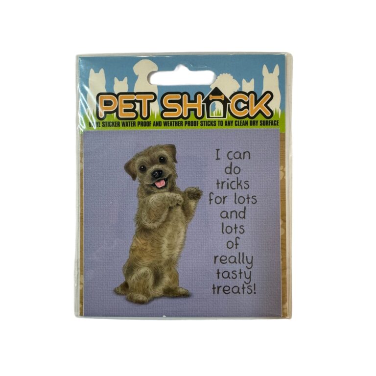 Photoroom_006_20240808_120312