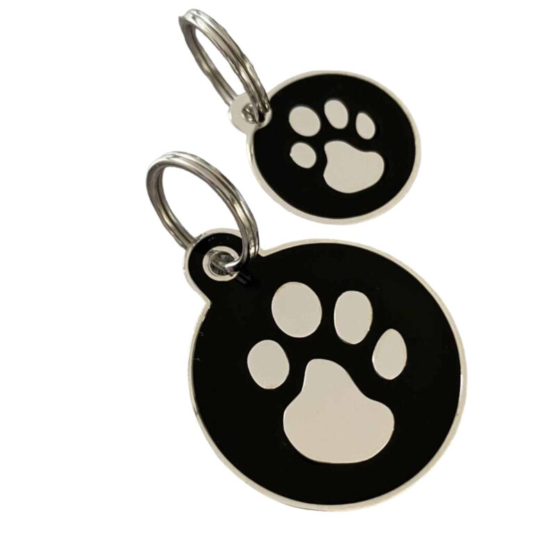 Photoroom_006_20240822_143736