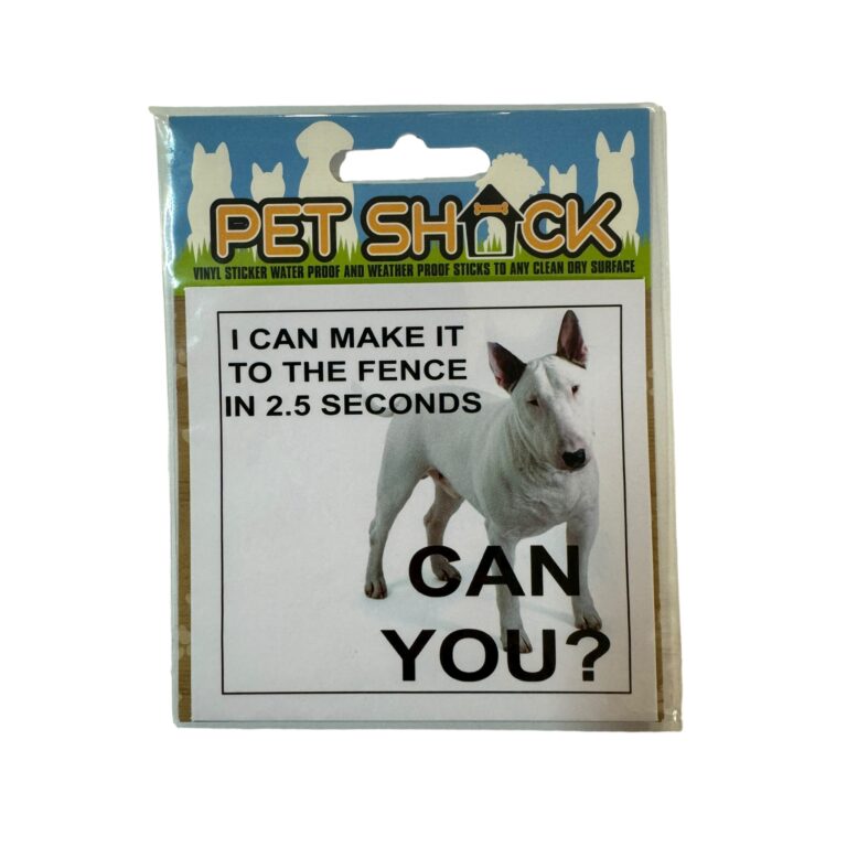 Photoroom_007_20240808_120312