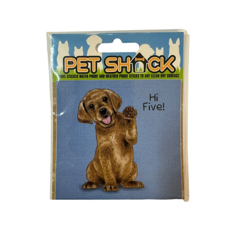 Photoroom_008_20240808_120312-1