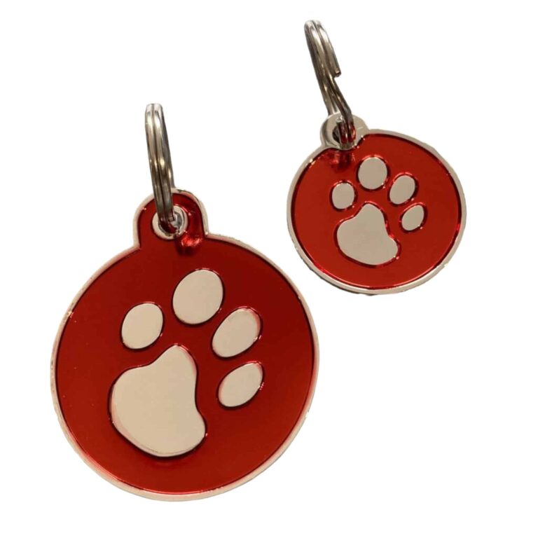 Photoroom_008_20240822_143736