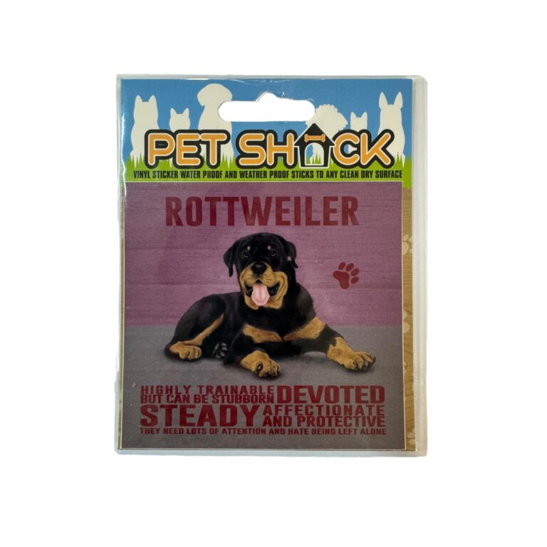 Photoroom_009_20240808_120312