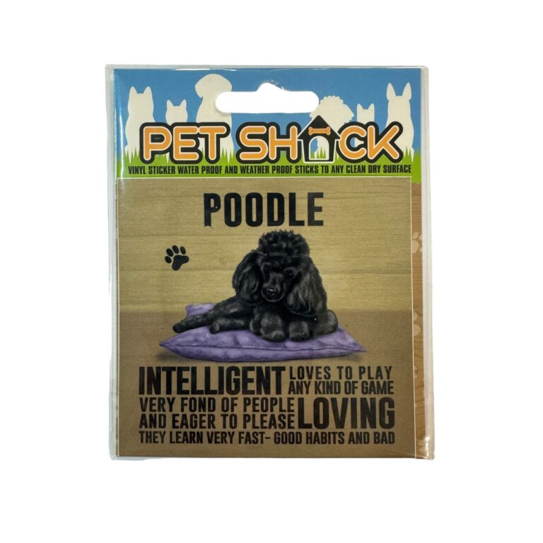 Photoroom_010_20240808_120312