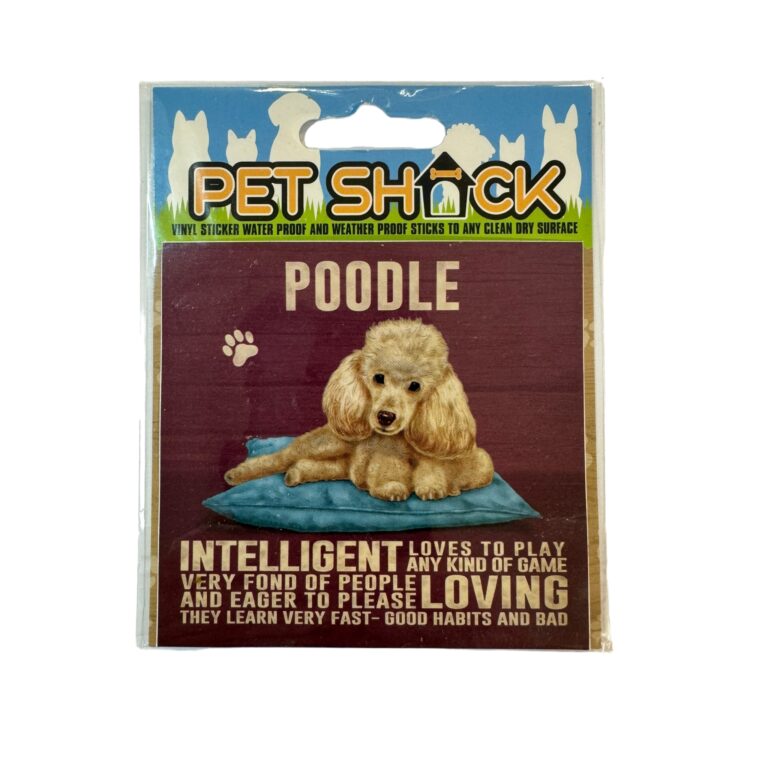 Photoroom_011_20240808_120312