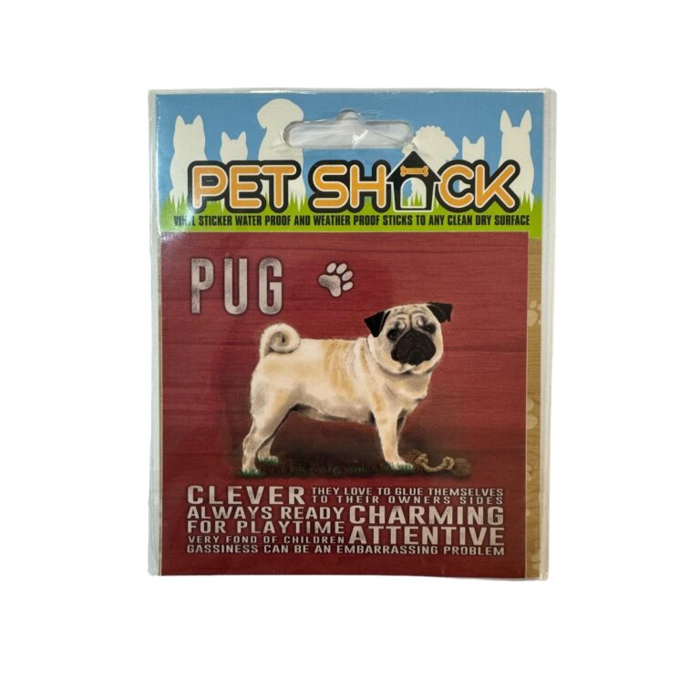 Photoroom_012_20240808_120312