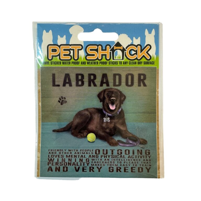 Photoroom_013_20240808_120312