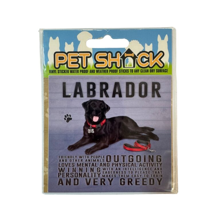 Photoroom_014_20240808_120312