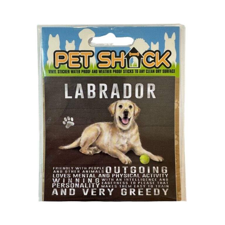 Photoroom_016_20240808_120312