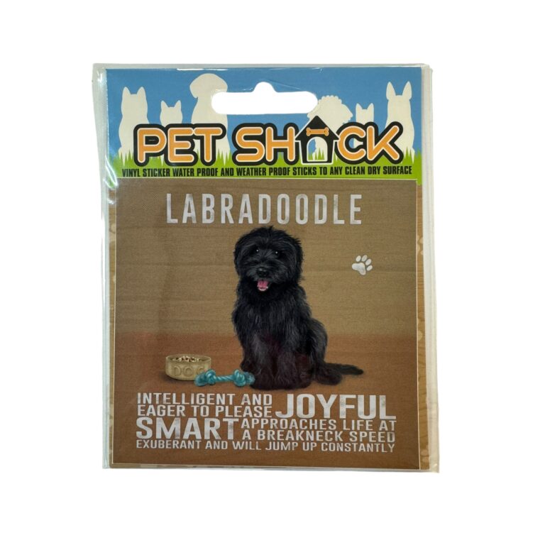 Photoroom_017_20240808_120312