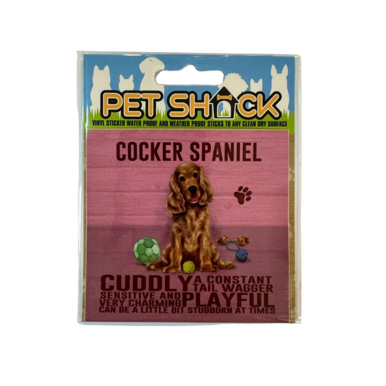 Photoroom_019_20240808_120312