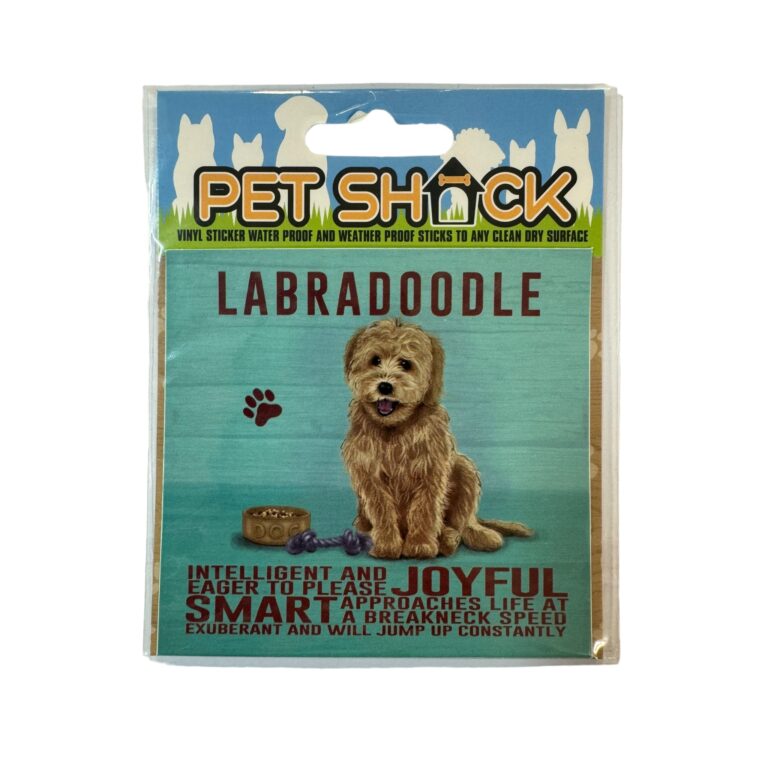 Photoroom_020_20240808_120312