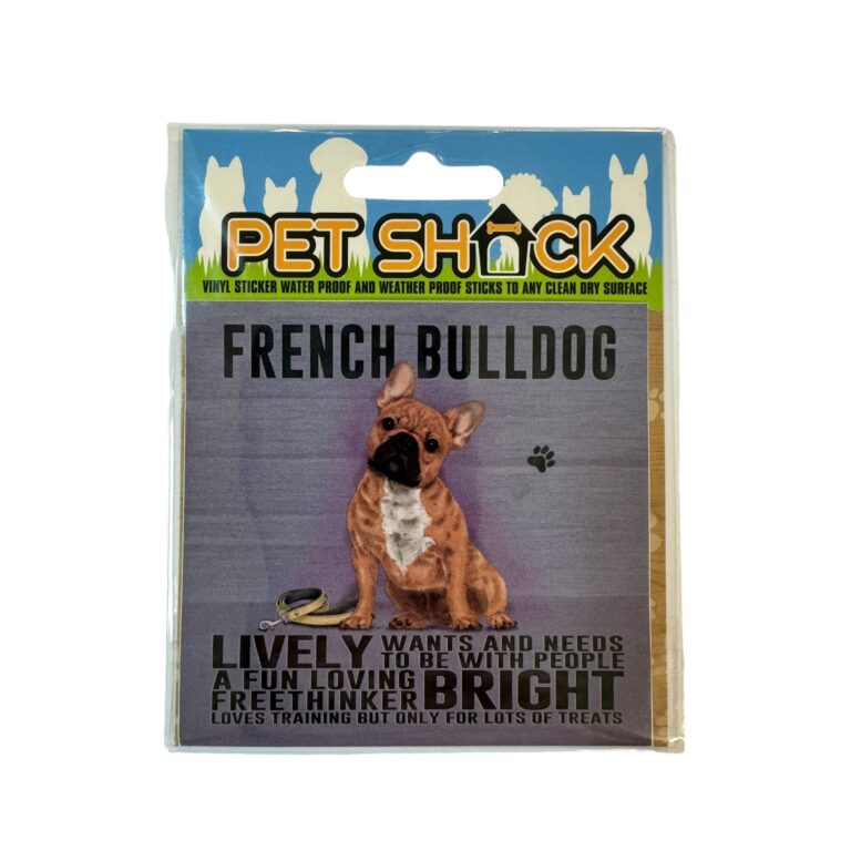 Photoroom_022_20240808_120312