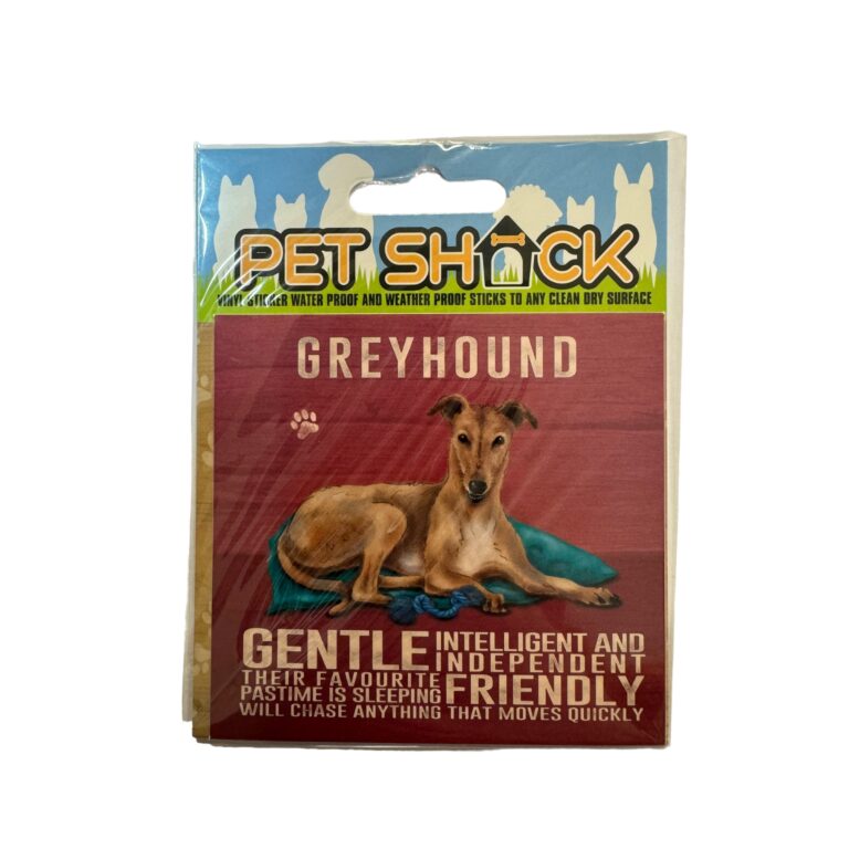 Photoroom_023_20240808_120312