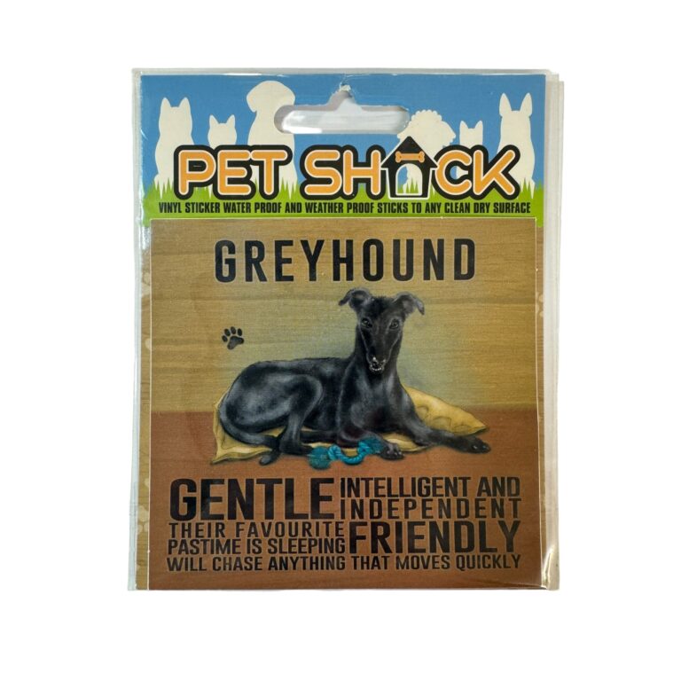 Photoroom_024_20240808_120312