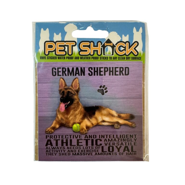 Photoroom_026_20240808_120312