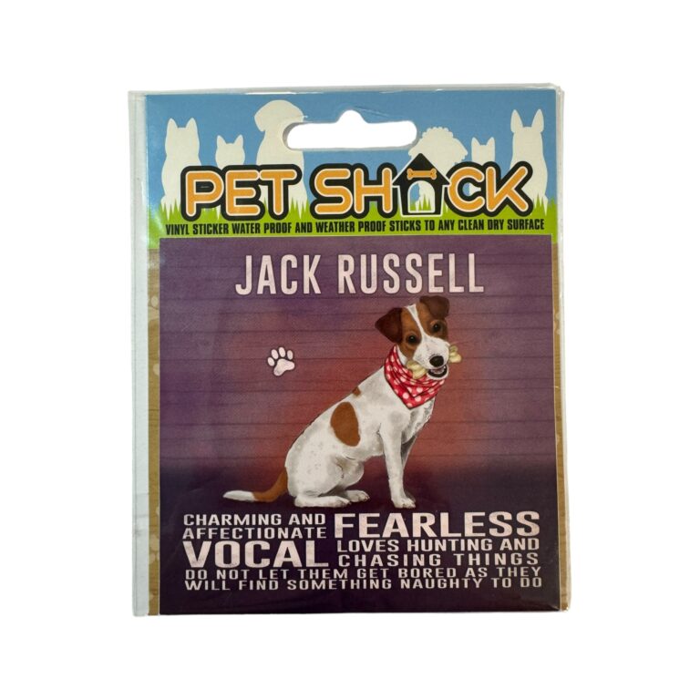 Photoroom_027_20240808_120312