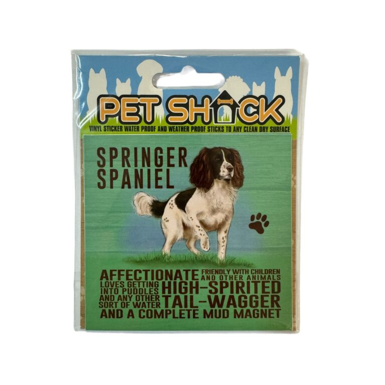 Photoroom_030_20240808_120312