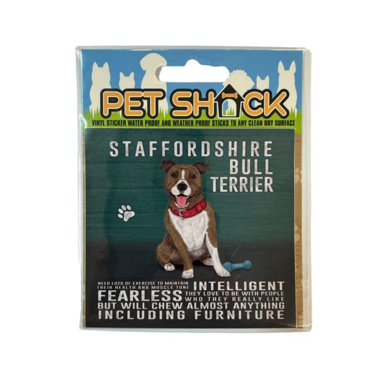 Photoroom_031_20240808_120312