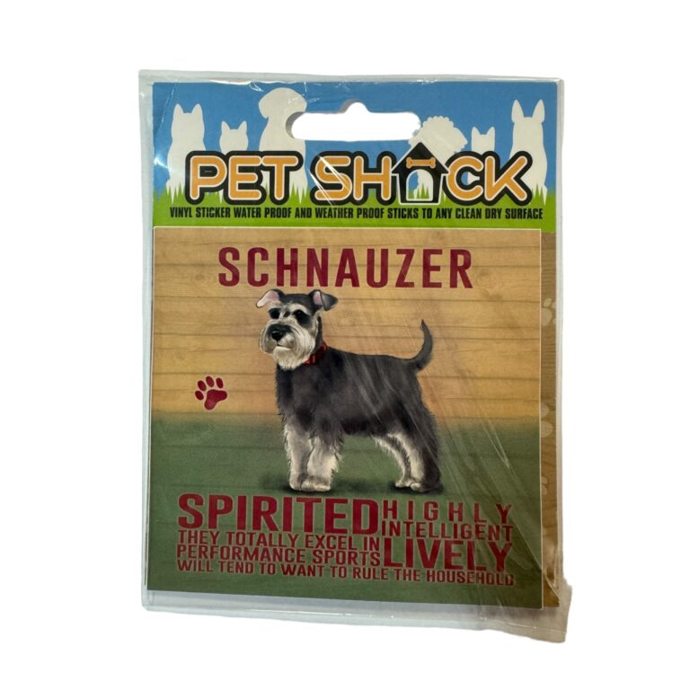 Photoroom_032_20240808_120312