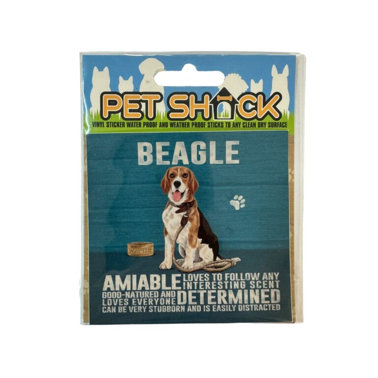 Photoroom_033_20240808_120312