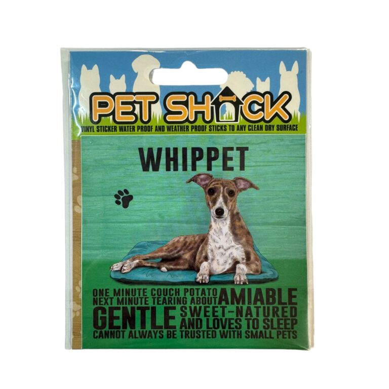 Photoroom_034_20240808_120312