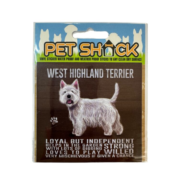 Photoroom_035_20240808_120312