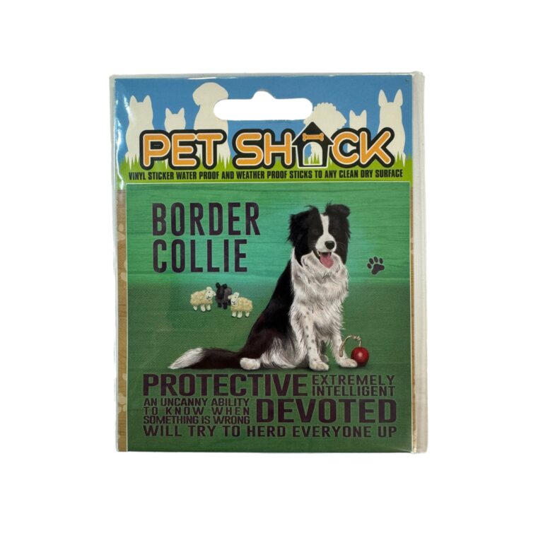 Photoroom_037_20240808_120312