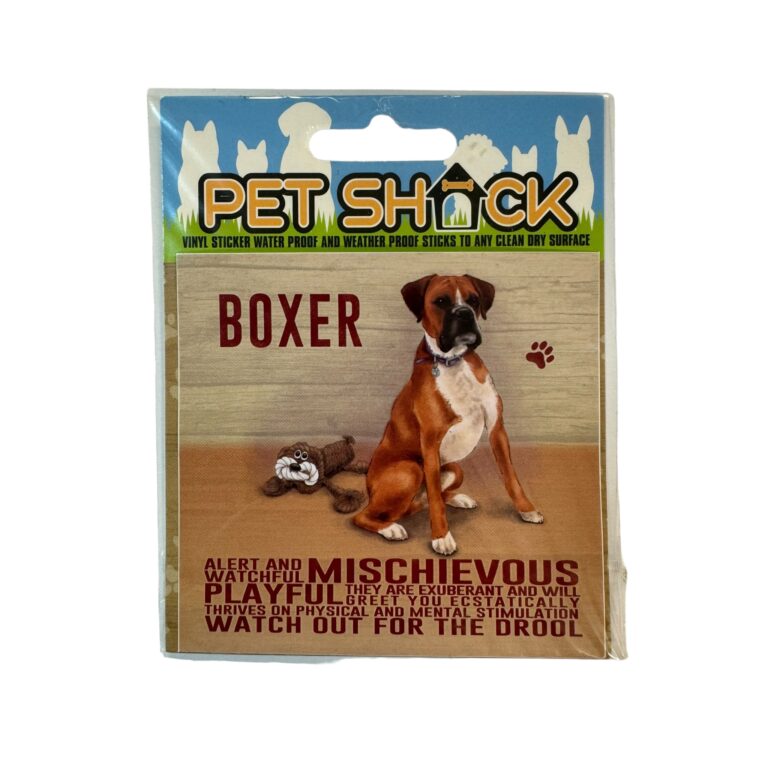 Photoroom_038_20240808_120312