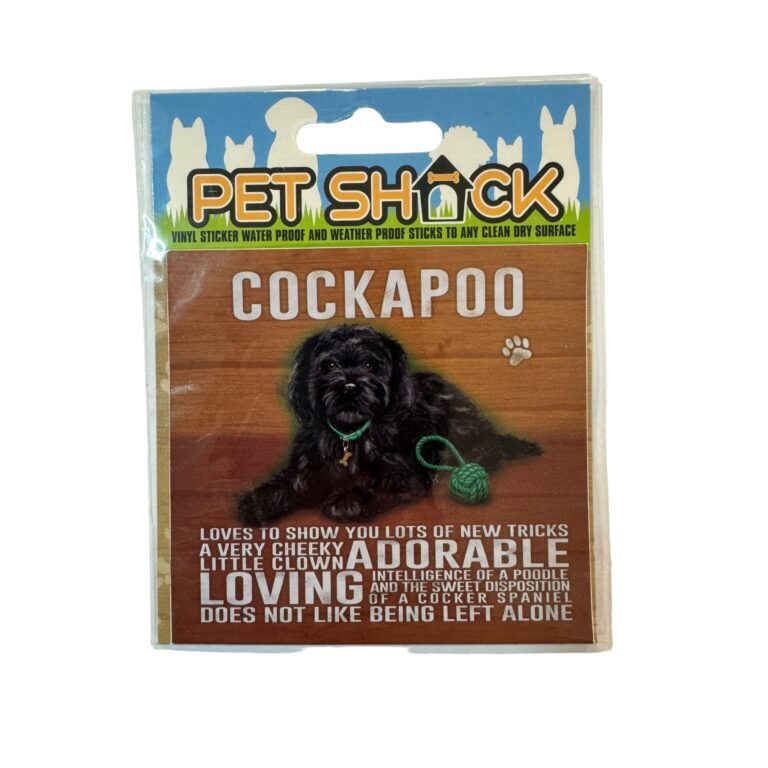 Photoroom_039_20240808_120312