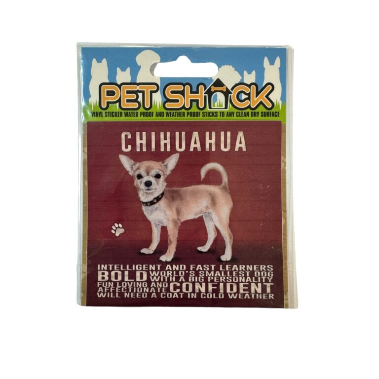 Photoroom_040_20240808_120312