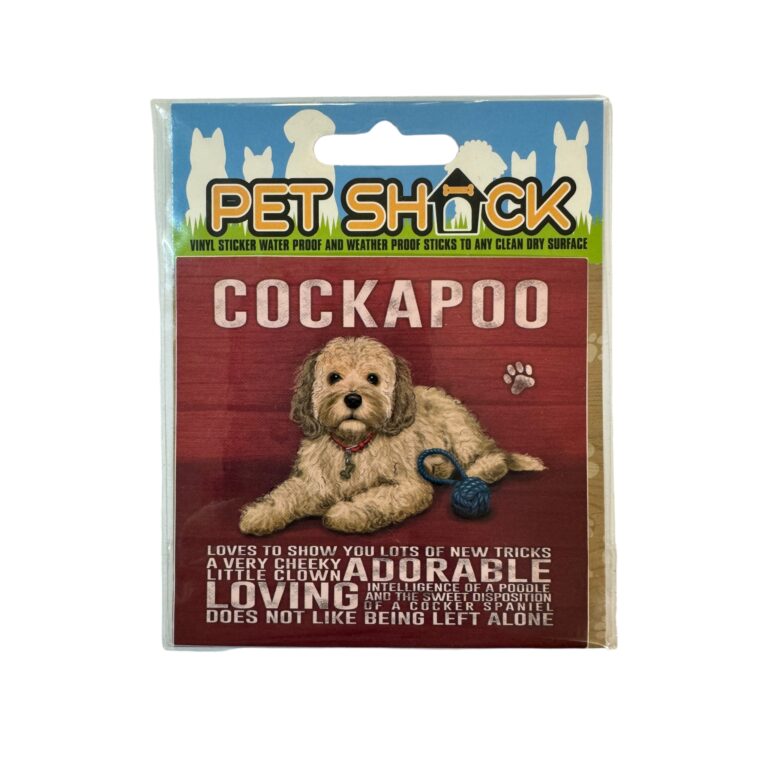 Photoroom_042_20240808_120312