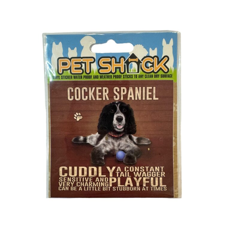 Photoroom_043_20240808_120312