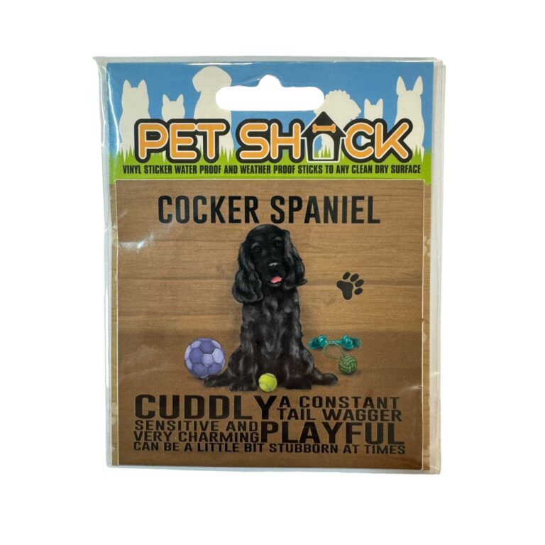 Photoroom_044_20240808_120312