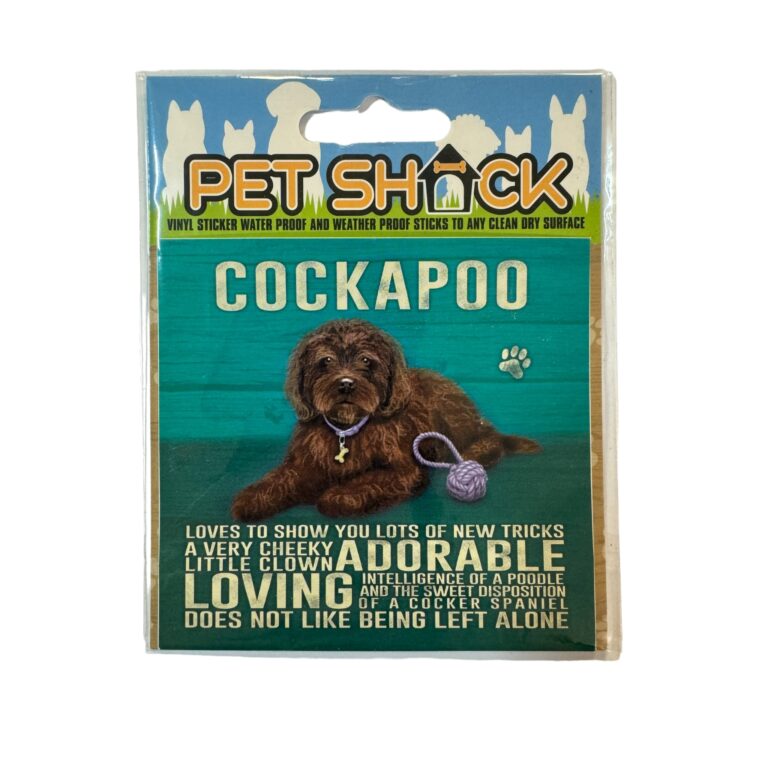 Photoroom_045_20240808_120312