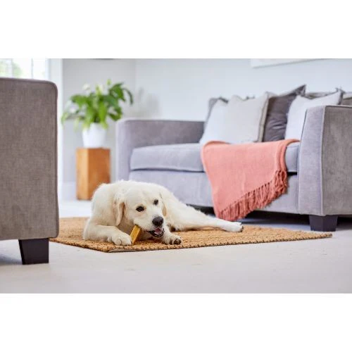 YAKERS-original-extra-large-lifestyle-image_cb57e3cd-3297-46cd-ac1f-f14468f2aae0_500x500