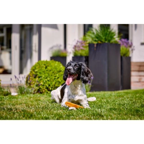 YAKERS-turmeric-medium-lifestyle_500x500