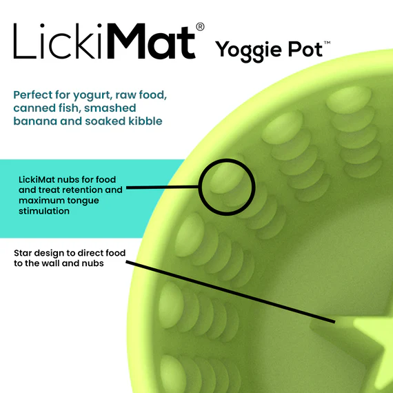 YoggiePot_S1_570x570_crop_top