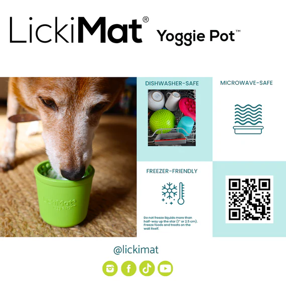 YoggiePot_S5_570x570_crop_top