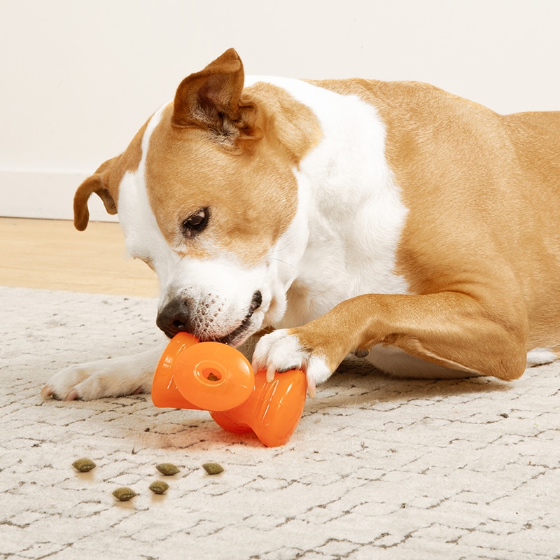 bionic-stuffer-toy-durable-11