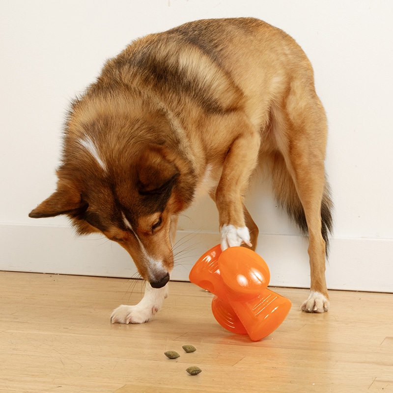 bionic-stuffer-toy-durable-12